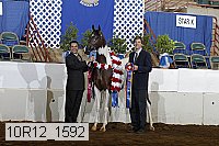 10r12_1592 thumbnail