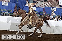 10r12_1739 thumbnail