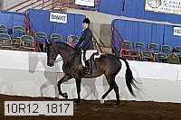 10r12_1817 thumbnail