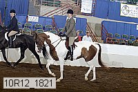 10r12_1821 thumbnail