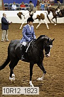 10r12_1823 thumbnail