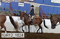 10r12_1824 thumbnail