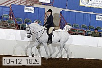 10r12_1825 thumbnail