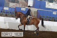 10r12_1828 thumbnail