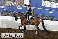 10r12_1829 thumbnail