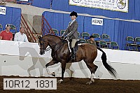 10r12_1831 thumbnail