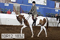 10r12_1832 thumbnail
