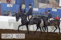 10r12_1833 thumbnail