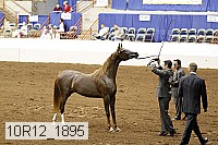 10r12_1895 thumbnail