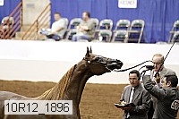 10r12_1896 thumbnail