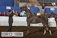 10r12_1898 thumbnail
