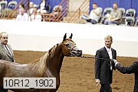 10r12_1902 thumbnail