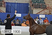 10r12_1908 thumbnail