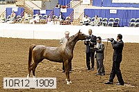 10r12_1909 thumbnail
