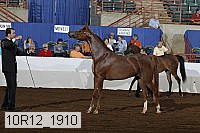 10r12_1910 thumbnail