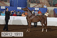 10r12_1911 thumbnail