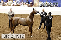 10r12_1912 thumbnail