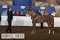 10r12_1913 thumbnail