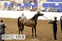 10r12_1914 thumbnail