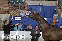 10r12_1915 thumbnail