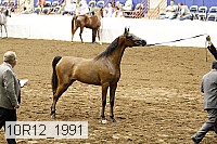 10r12_1991 thumbnail
