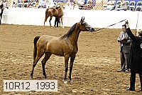 10r12_1993 thumbnail