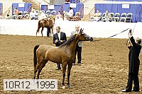 10r12_1995 thumbnail