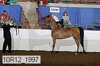 10r12_1997 thumbnail