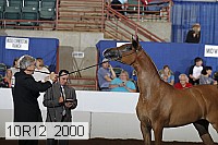 10r12_2000 thumbnail