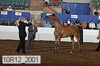10r12_2001 thumbnail