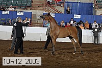 10r12_2003 thumbnail