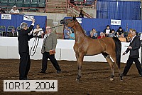 10r12_2004 thumbnail