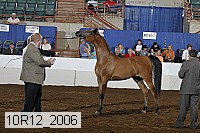 10r12_2006 thumbnail