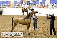 10r12_2007 thumbnail