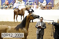 10r12_2008 thumbnail