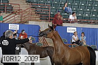 10r12_2009 thumbnail