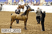 10r12_2010 thumbnail