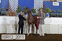 10r12_2011 thumbnail
