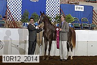 10r12_2014 thumbnail