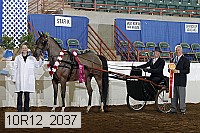 10r12_2037 thumbnail