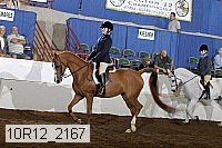 10r12_2167 thumbnail
