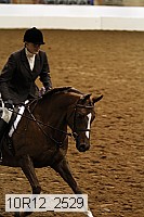 10r12_2529 thumbnail