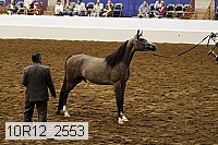 10r12_2553 thumbnail