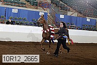 10r12_2665 thumbnail