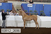 10r12_2696 thumbnail