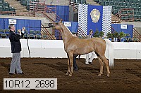 10r12_2698 thumbnail