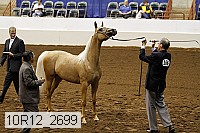 10r12_2699 thumbnail