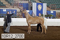10r12_2700 thumbnail