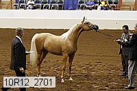 10r12_2701 thumbnail
