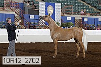10r12_2702 thumbnail